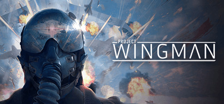 僚机计划/Project Wingman